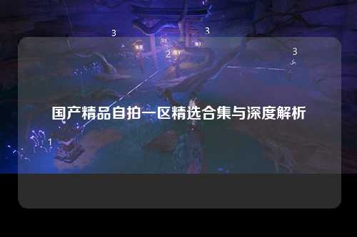 国产精品自拍一区精选合集与深度解析