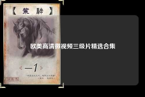 欧美高清微视频三级片精选合集