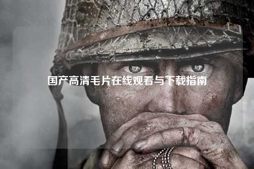 国产高清毛片在线观看与下载指南