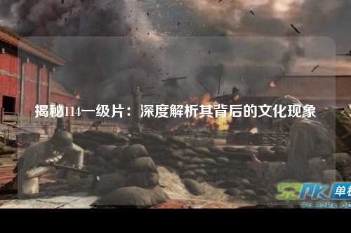 揭秘114一级片：深度解析其背后的文化现象