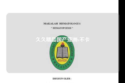 久久精品国产亚洲v不卡