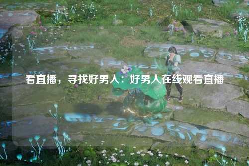 看直播，寻找好男人：好男人在线观看直播