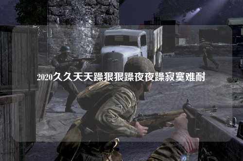 2020久久天天躁狠狠躁夜夜躁寂寞难耐