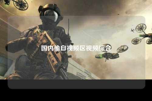 国内偷自视频区视频综合