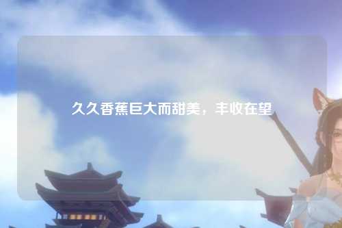 久久香蕉巨大而甜美，丰收在望
