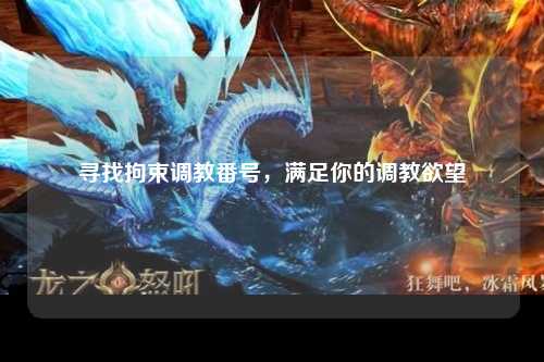 寻找拘束调教番号，满足你的调教欲望