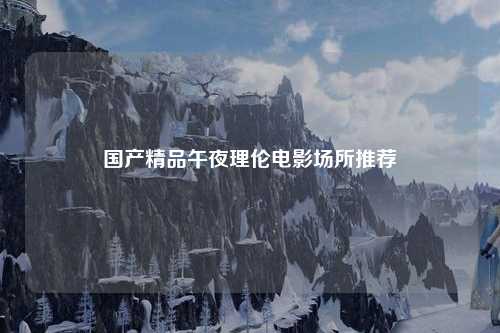 国产精品午夜理伦电影场所推荐