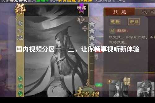 国内视频分区一二三，让你畅享视听新体验