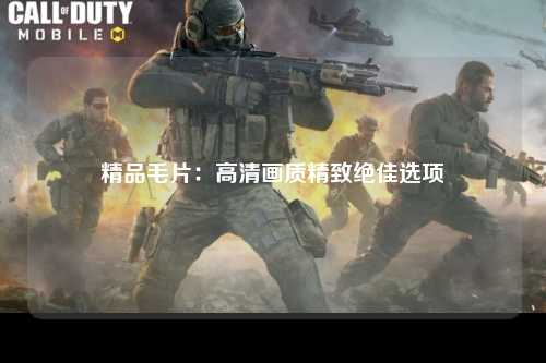 精品毛片：高清画质精致绝佳选项