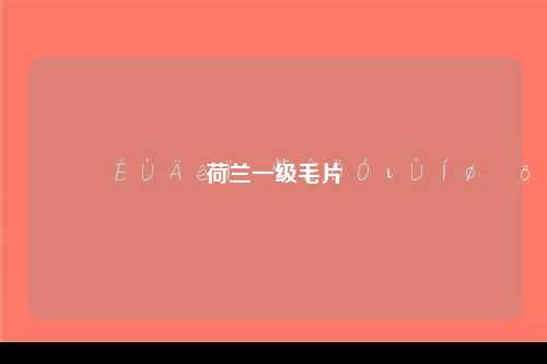 荷兰一级毛片