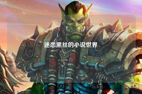 迷恋黑丝的小说世界