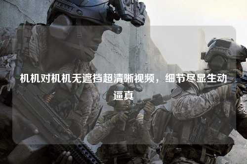 机机对机机无遮挡超清晰视频，细节尽显生动逼真