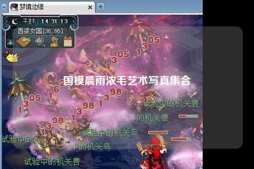 国模晨雨浓毛艺术写真集合