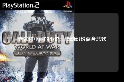老张和小丽的小说：情动纷纷离合悲欢