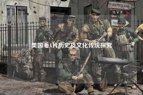美国毛A片历史及文化传统探究