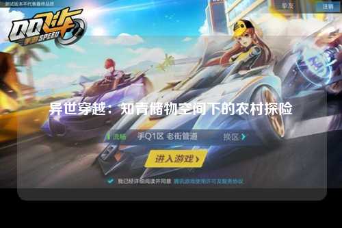 异世穿越：知青储物空间下的农村探险