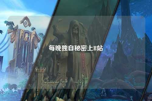 每晚独自秘密上B站